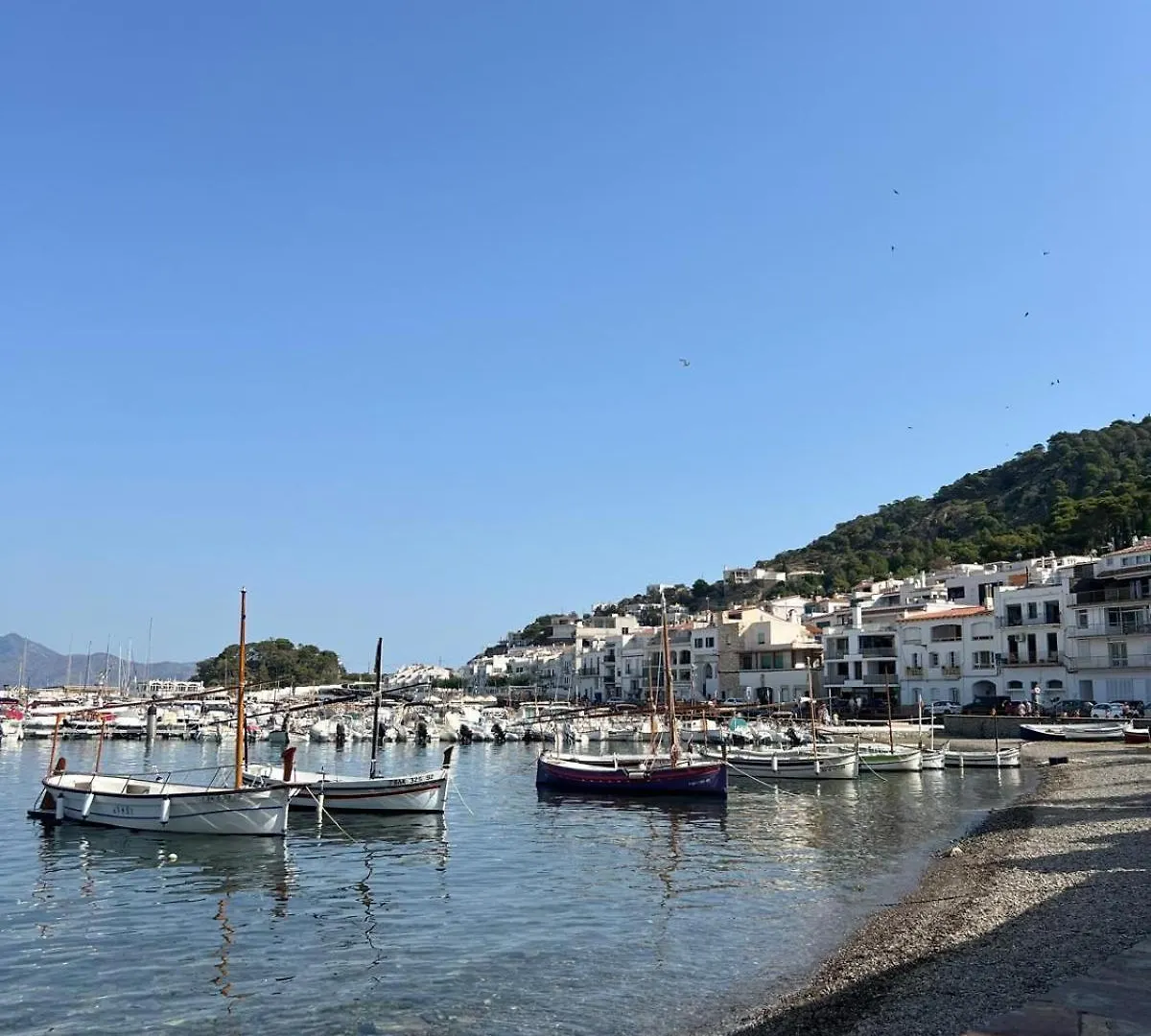 Hotel Hostal Sol I Sombra El Port De La Selva España